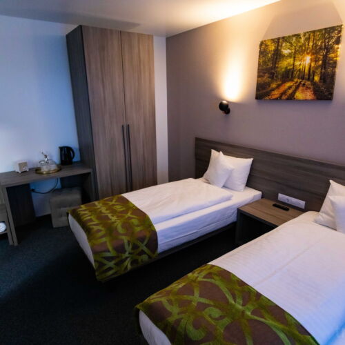 Camera  twin cu vedere spre pădure