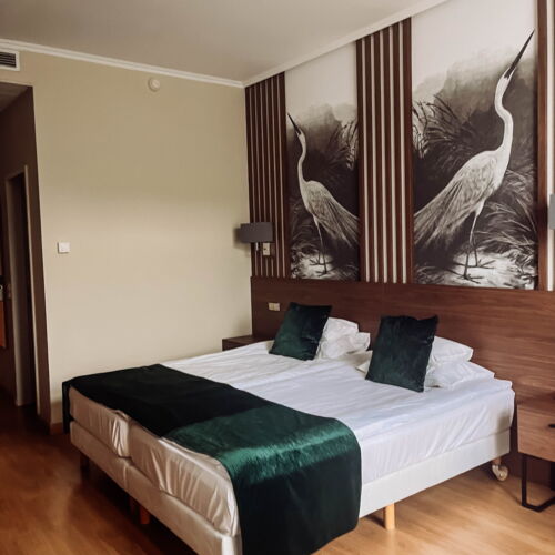 Apartament familial(ă) la parter cu 2 camere pentru 4 pers. (se poate solicita pat suplimentar)