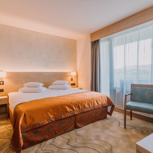 Camera twin superior cu vedere spre munte