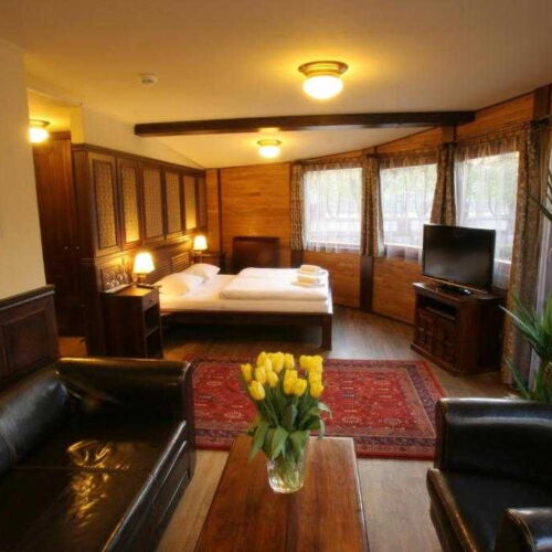 Deluxe Junior 1-Room Apartment for 2 Persons (extra bed available)