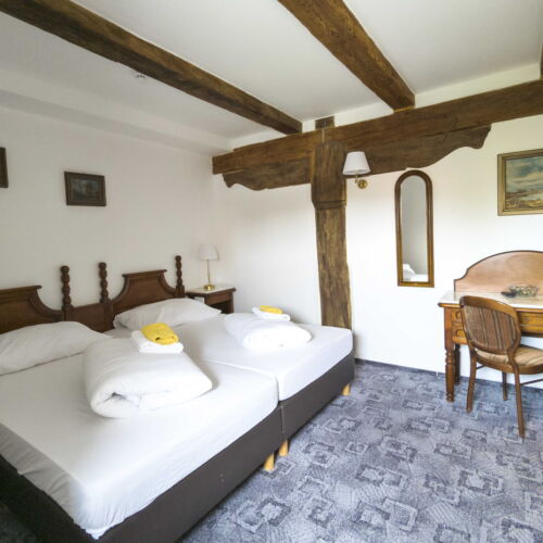 Pokoj se sprchou  s manželskou postelí (s možností přistýlky)