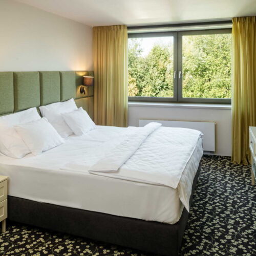 Camera dubla (se poate solicita pat suplimentar)