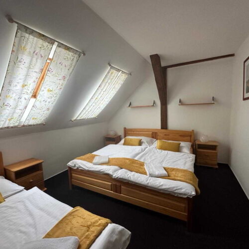 Pokoj se sprchou  pro 3 os.