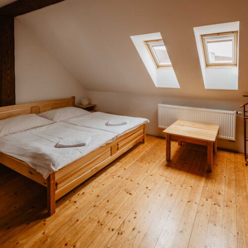 Pokoj se sprchou  pro 2 os. (s možností přistýlky)