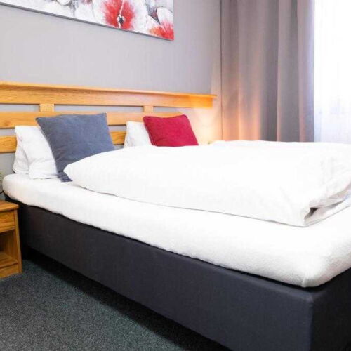 Double Room with Shower (extra bed available)