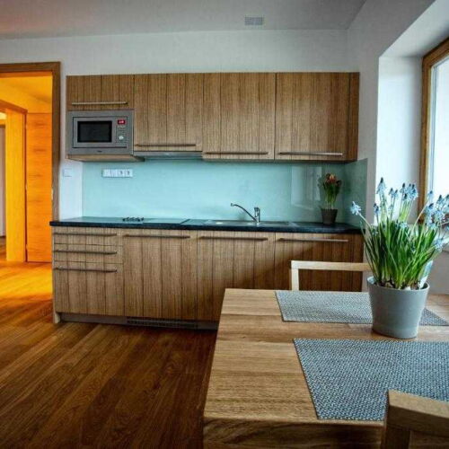 Apartament cu duș cu bucătărie proprie pentru 4 pers.