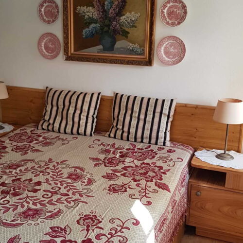 Pokoj se sprchou  pro 2 os.