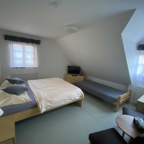 Camera tripla cu duș