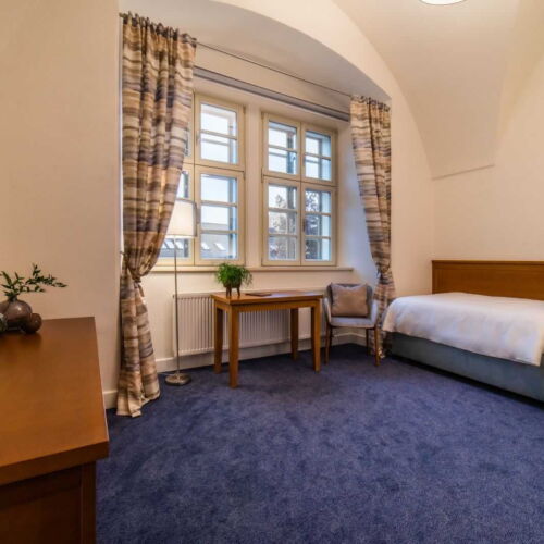 Pokój 1-osobowy Deluxe z prysznicem