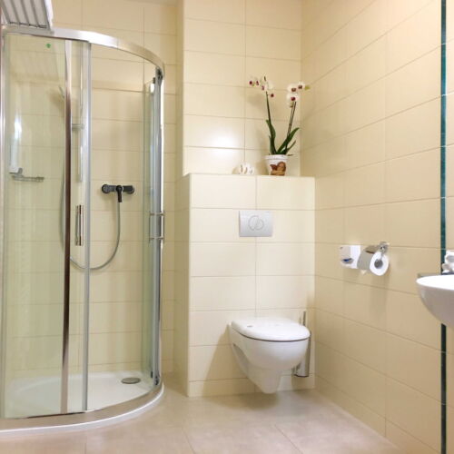 Pokoj se sprchou  pro 1 os.