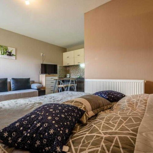 Double Room with Shower and Kitchenette