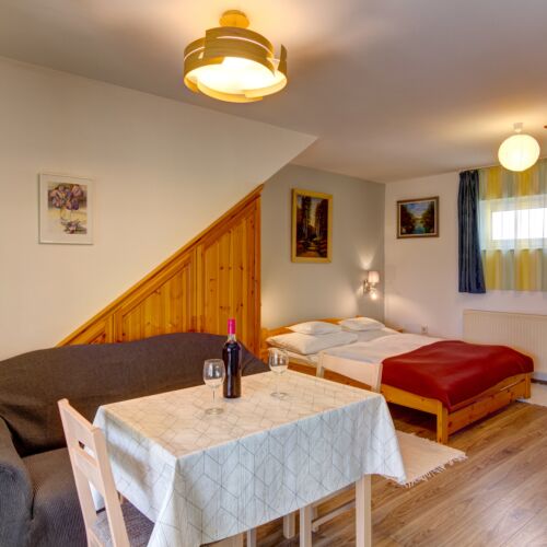 Apartament studio superior cu 1 camera pentru 2 pers.