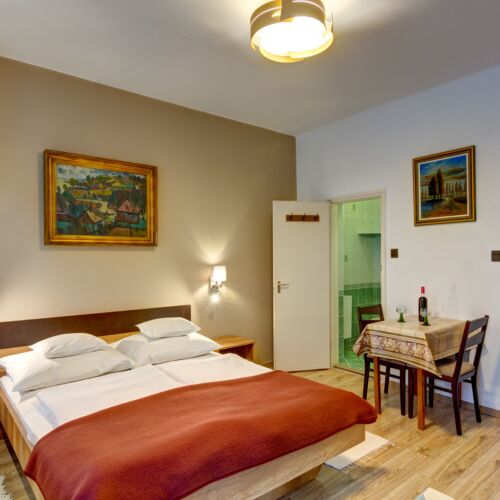 Apartament studio superior cu 1 camera pentru 2 pers.