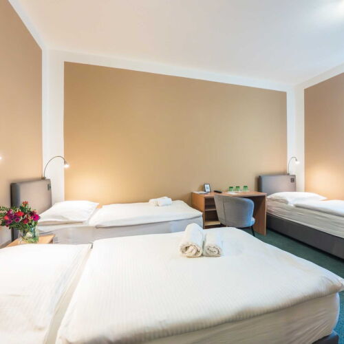 Třílůžkový (Národní dům)