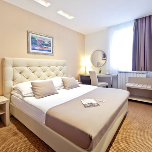 Business Plus  Pokoj pro 1 os.