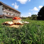 Pensiunea La Curtea Porumbăceană Porumbacu de Sus