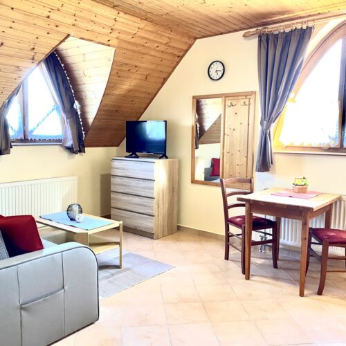 Apartament 2-osobowy na poddaszu z panoramą z 1 pomieszczeniem sypialnianym