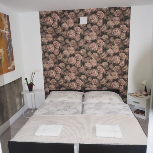 Erdgeschosses 1-Zimmer-Apartment für 2 Personen 