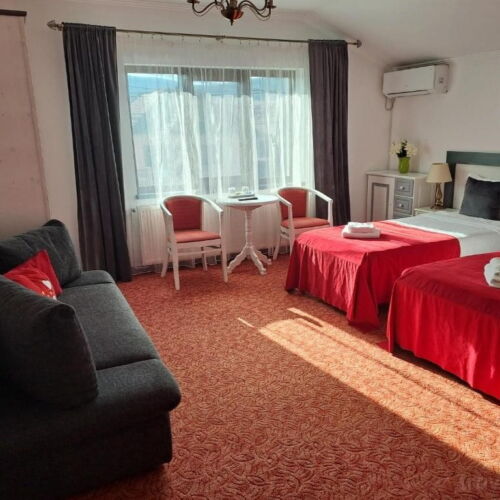 Camera twin (se poate solicita pat suplimentar)