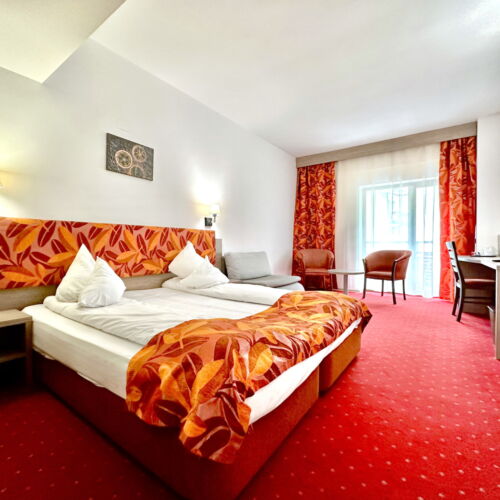 Camera dubla deluxe corp Vitalis