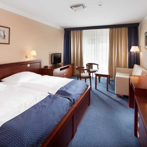 Pokój 2-osobowy Superior z prysznicem (możliwa dostawka)