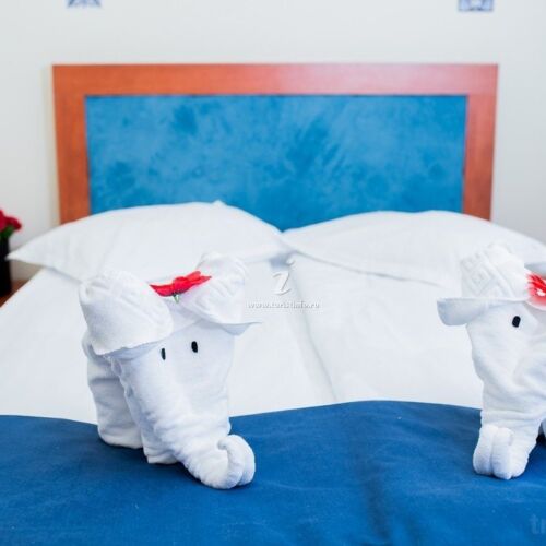 Camera dubla cu balcon