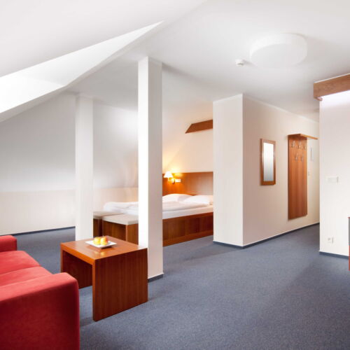 Pokój 2-osobowy Superior z prysznicem (możliwa dostawka)