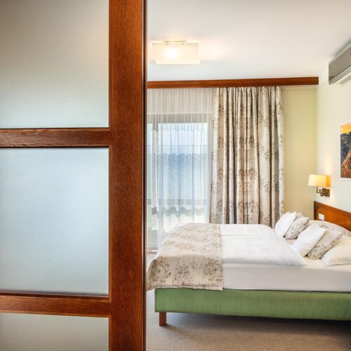 Apartament 2-osobowy Superior z wanną z 1 pomieszczeniem sypialnianym (możliwa dostawka)