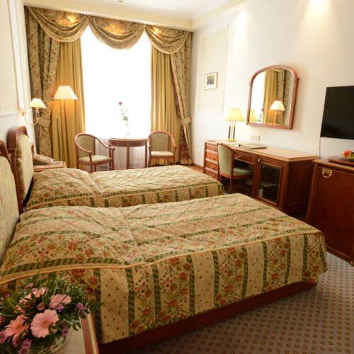 Camera twin cu baie cu vedere spre curte