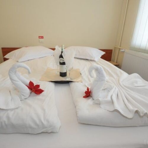 Camera dubla economy cu balcon