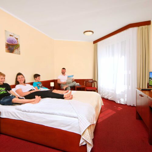 Camera dubla economy cu duș