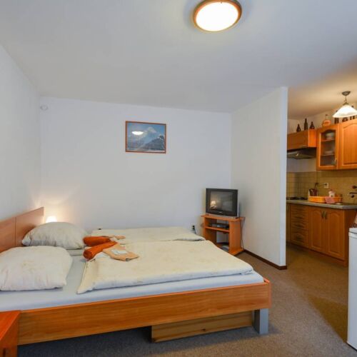 Apartman se sprchou s vlastní kuchyňkou pro 2 os. s 1 ložnicí (s možností přistýlky)