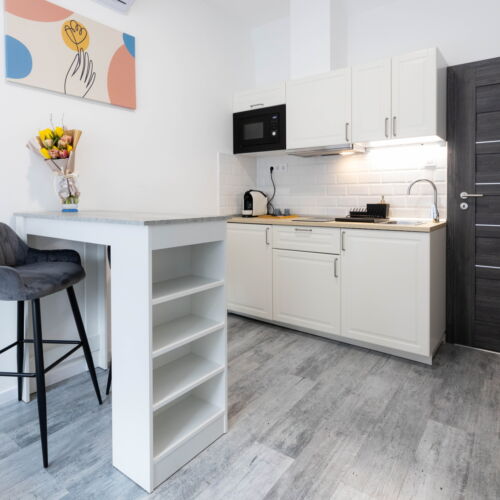 Apartament 2-osobowy Standard z 1 pomieszczeniem sypialnianym