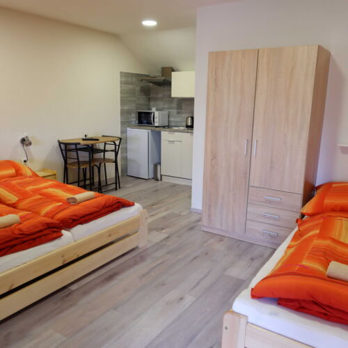 Pokoj se sprchou s vlastní kuchyňkou pro 3 os.