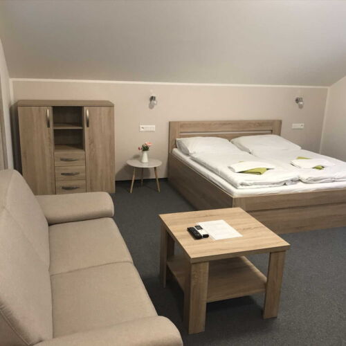 Camera dubla cu aer condiționat cu bucătărie proprie