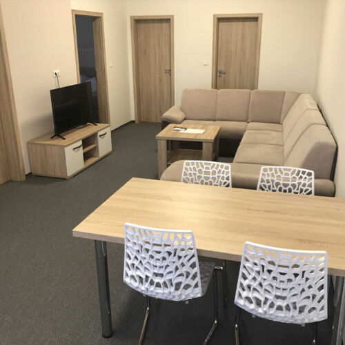 Apartament cu duș cu chicinetă proprie cu 2 camere pentru 4 pers. (se poate solicita pat suplimentar)