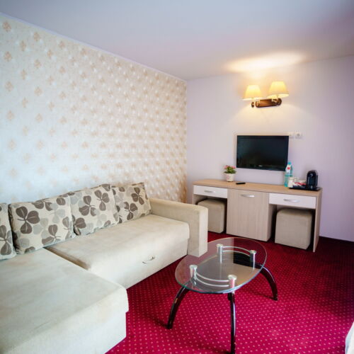 Apartament cu 1 camera pentru 2 pers.