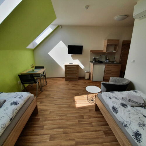 Camera twin cu duș cu chicinetă proprie