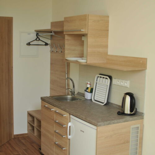 Camera twin cu duș cu chicinetă proprie (se poate solicita pat suplimentar)