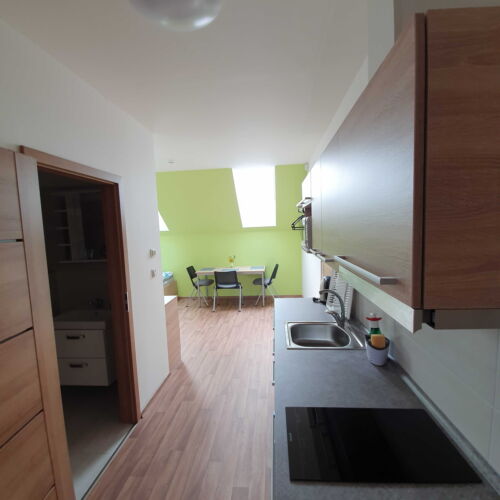 Camera tripla cu duș cu chicinetă proprie (se poate solicita pat suplimentar)