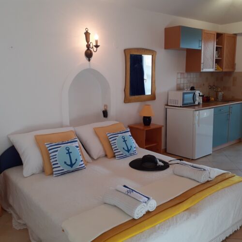 Apartament studio cu aer condiționat pentru 2 pers. (se inchirieaza doar integral)