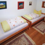 Apartman Alpbach - ATI893