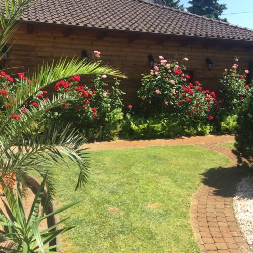 Exclusive Apartman (jako celek) pro 13 os. celý Dům