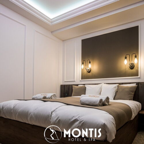 Camera dubla standard