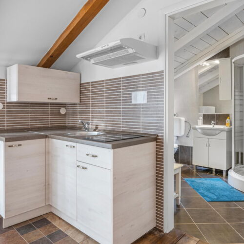 Casă de vară pentru 10 pers. (se inchirieaza doar integral)