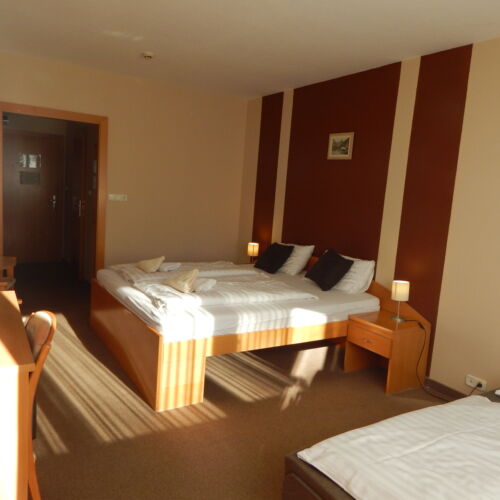 Pokój 2-osobowy na parterze z widokiem na las (możliwa dostawka)