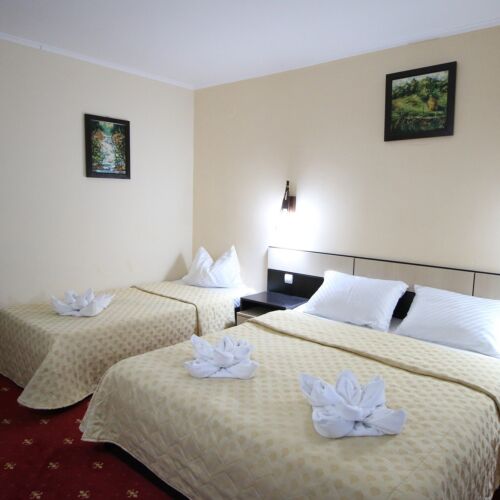 Camera tripla family cu balcon