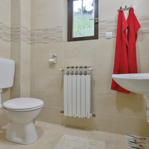 Casă de vară pentru 10 pers. (se inchirieaza doar integral)