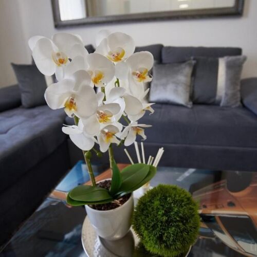 Superior  Apartman pro 4 os. s 1 ložnicí