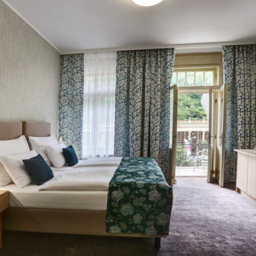 Camera twin superior cu duș (se poate solicita pat suplimentar)